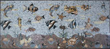 AN820 Beautiful mixed sea life mosaic