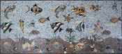 AN820 Beautiful mixed sea life mosaic