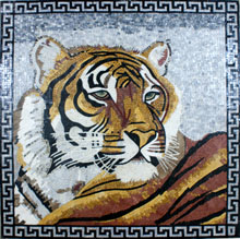 AN857 Tiger head frame mosaic