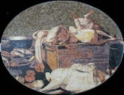 AN863 Mixed scene mosaic