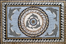 CR200 Dolphin medaillon design with medallion border