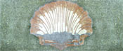 CR345 Big sea shell mosaic carpet